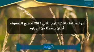 مواعيد امتحانات الترم الثاني 2025 لجميع الصفوف تُعلن رسميًا من الوزارة